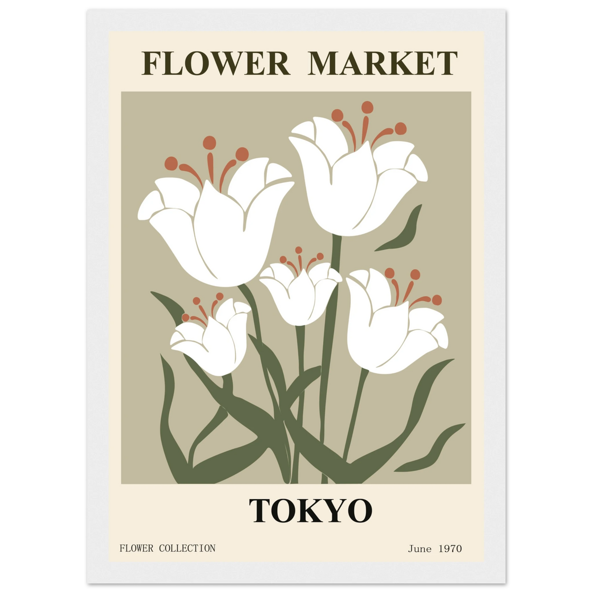 19fa72e2-24fe-46ab-916f-8088f66aebdd