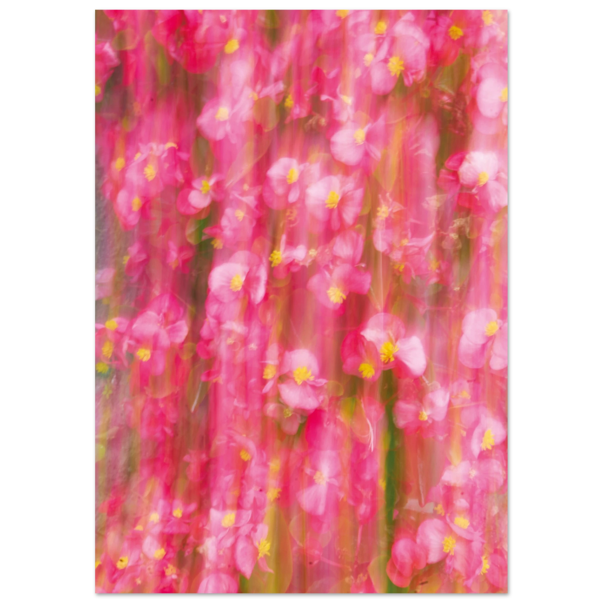 1adea238-cb81-4839-be5d-54618e804fa3