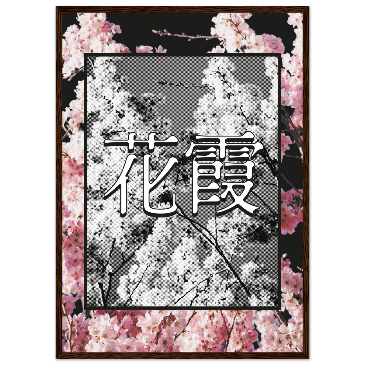 6850e2e1-1cad-4423-9a21-d30d364ae284