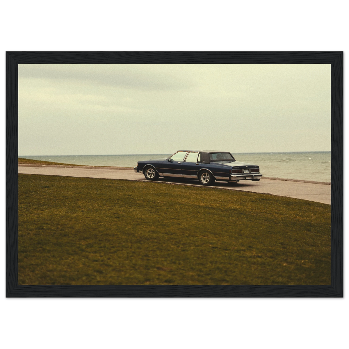 74a19568-f8a5-40f2-90e8-95100aca876b