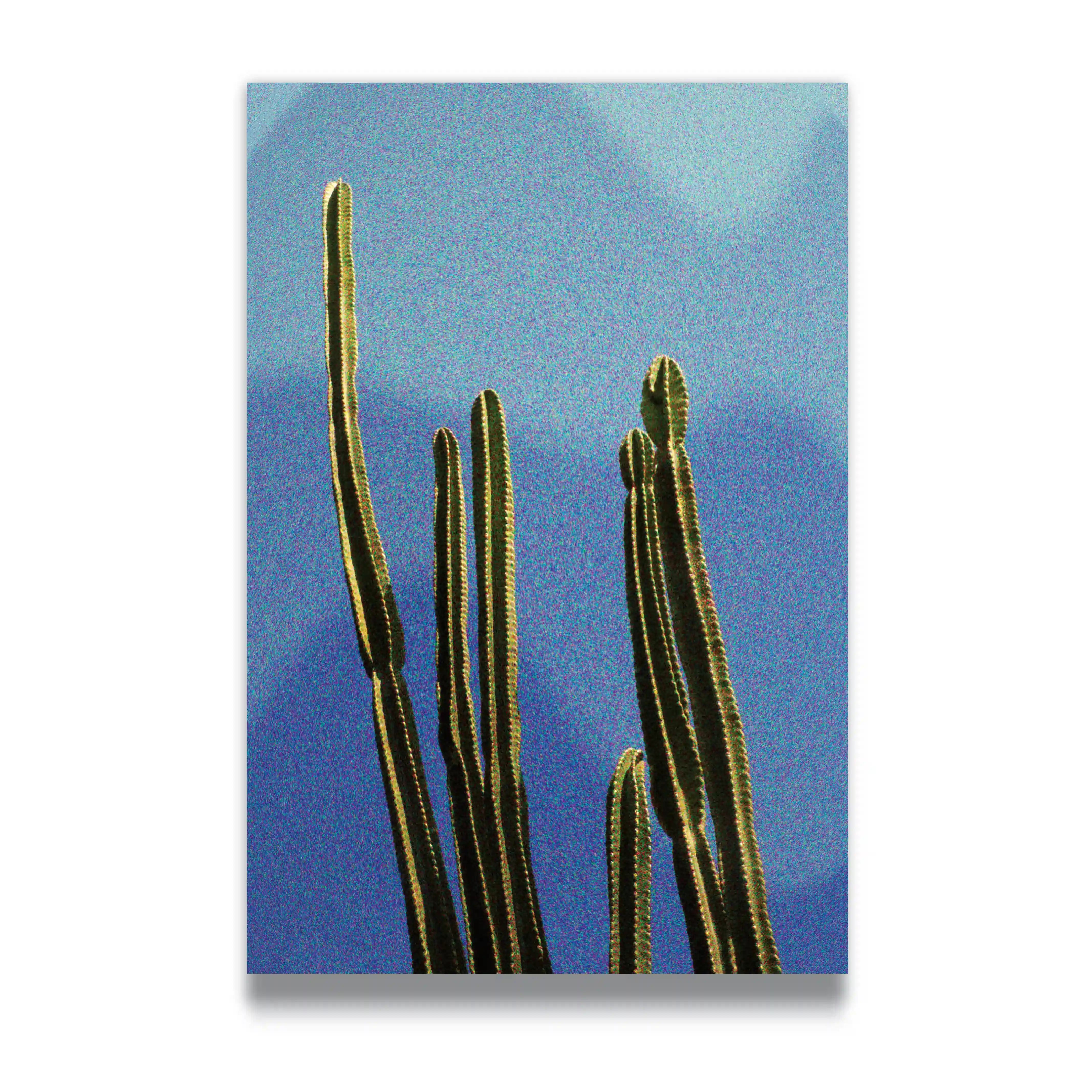 CACTI – vigilstreet