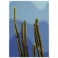 b0c0a29b-f9f4-43f5-b630-8efd9f49818f