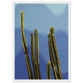 c2fe4f74-1cc1-4e2b-91f8-ed4d821c77e8