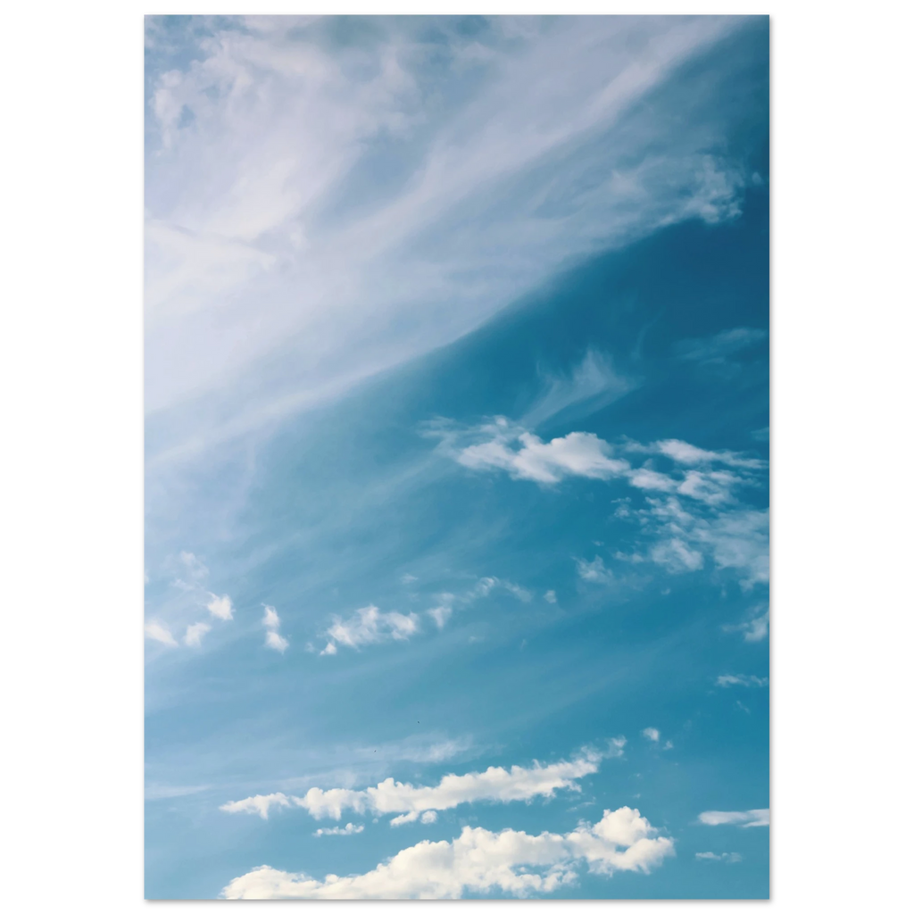 c3ce01fd-ad28-4bef-b27f-447955348bff