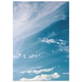 c3ce01fd-ad28-4bef-b27f-447955348bff