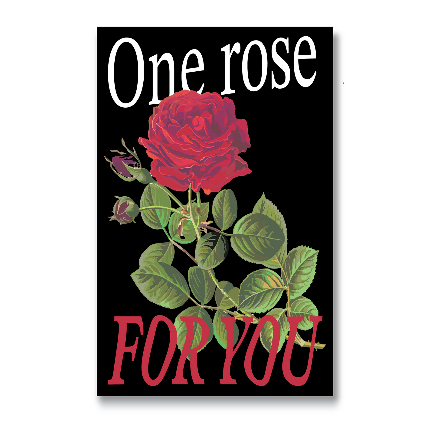 ONE ROSE